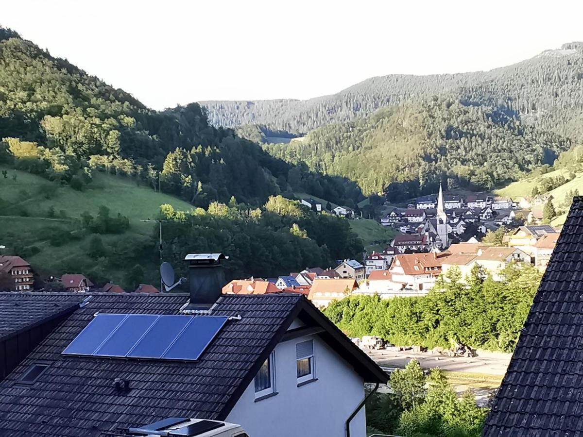 Ferienwohnung Hilde Bad Peterstal-Griesbach Esterno foto