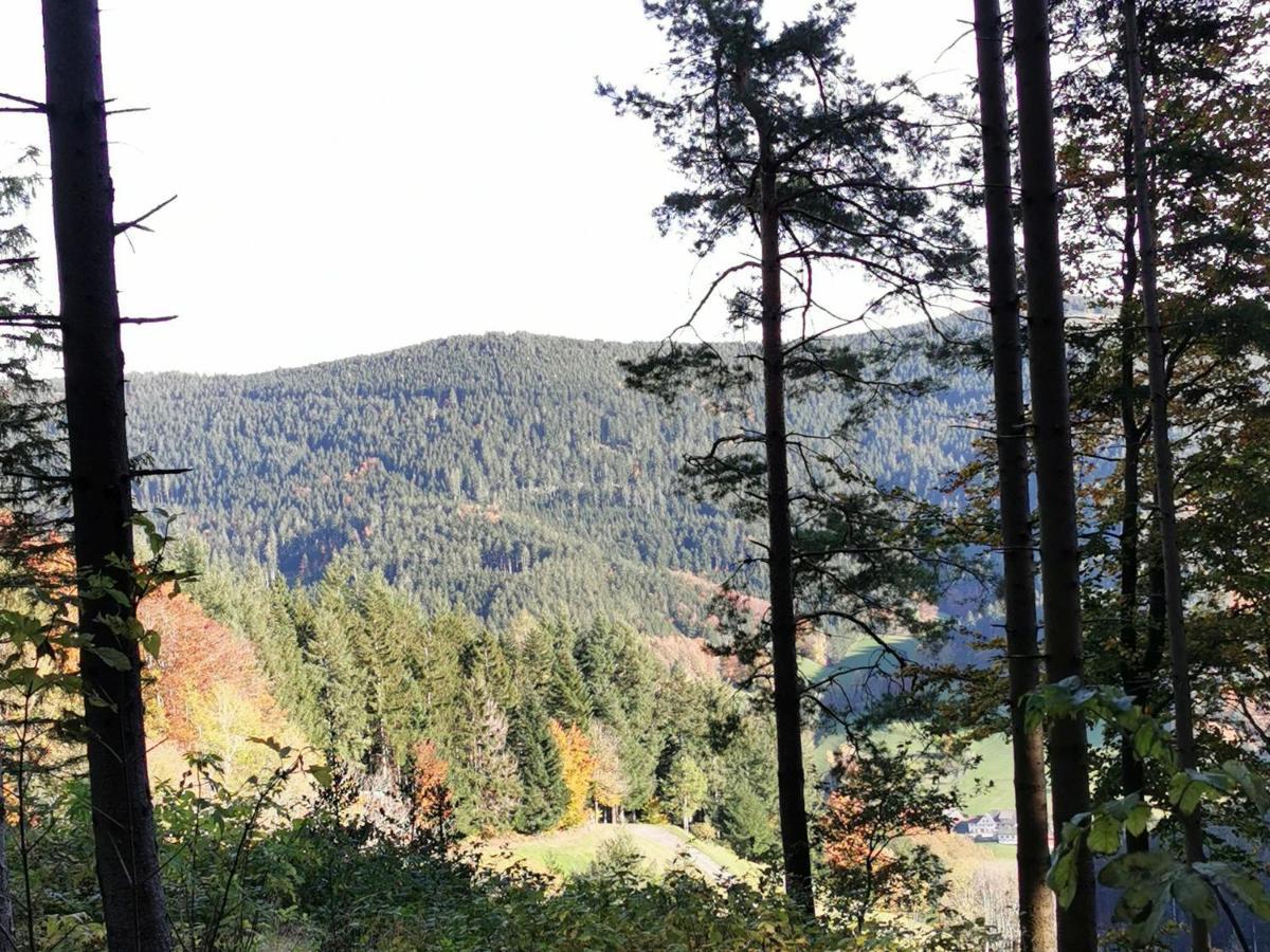 Ferienwohnung Hilde Bad Peterstal-Griesbach Esterno foto