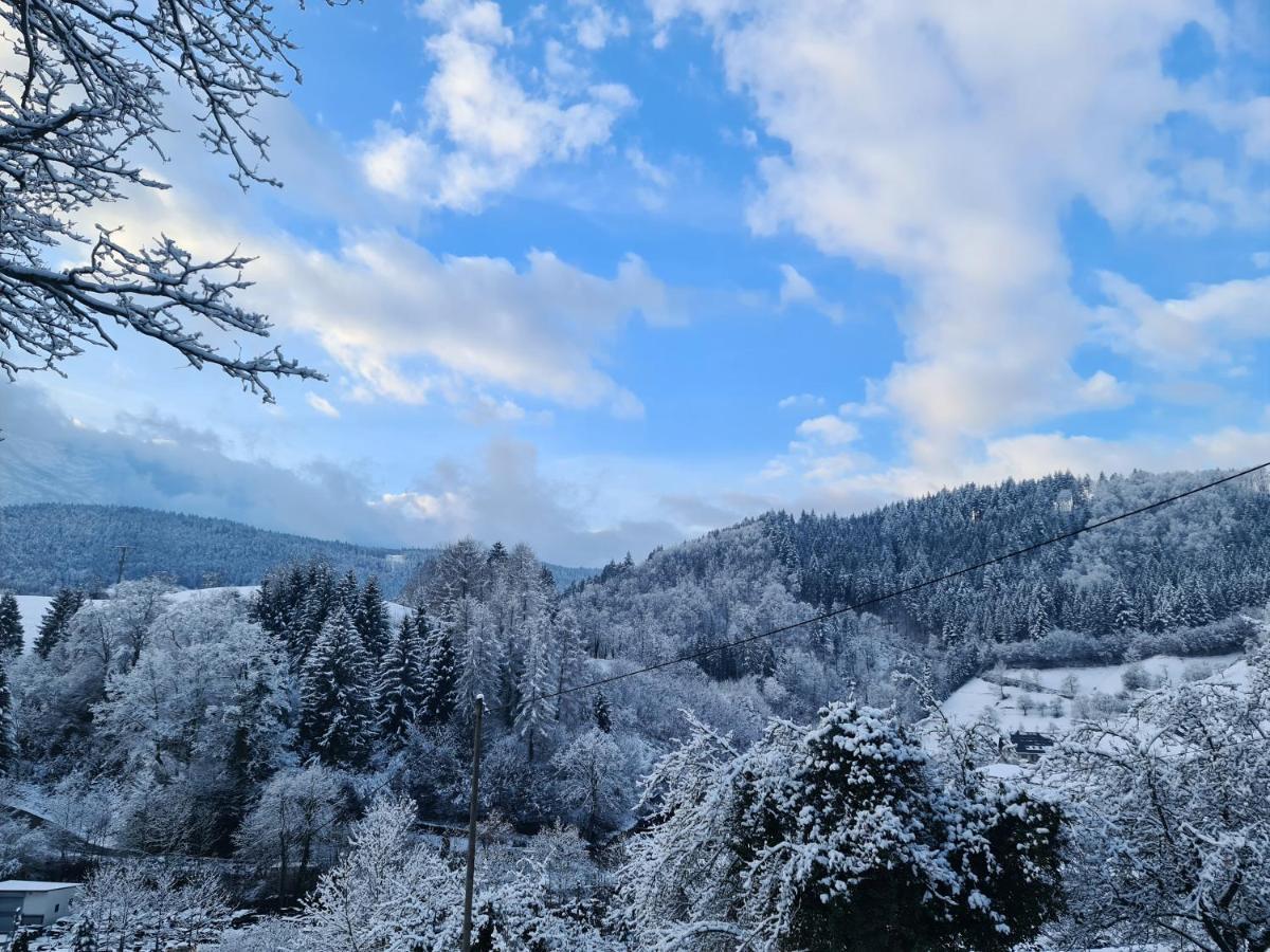 Ferienwohnung Hilde Bad Peterstal-Griesbach Esterno foto