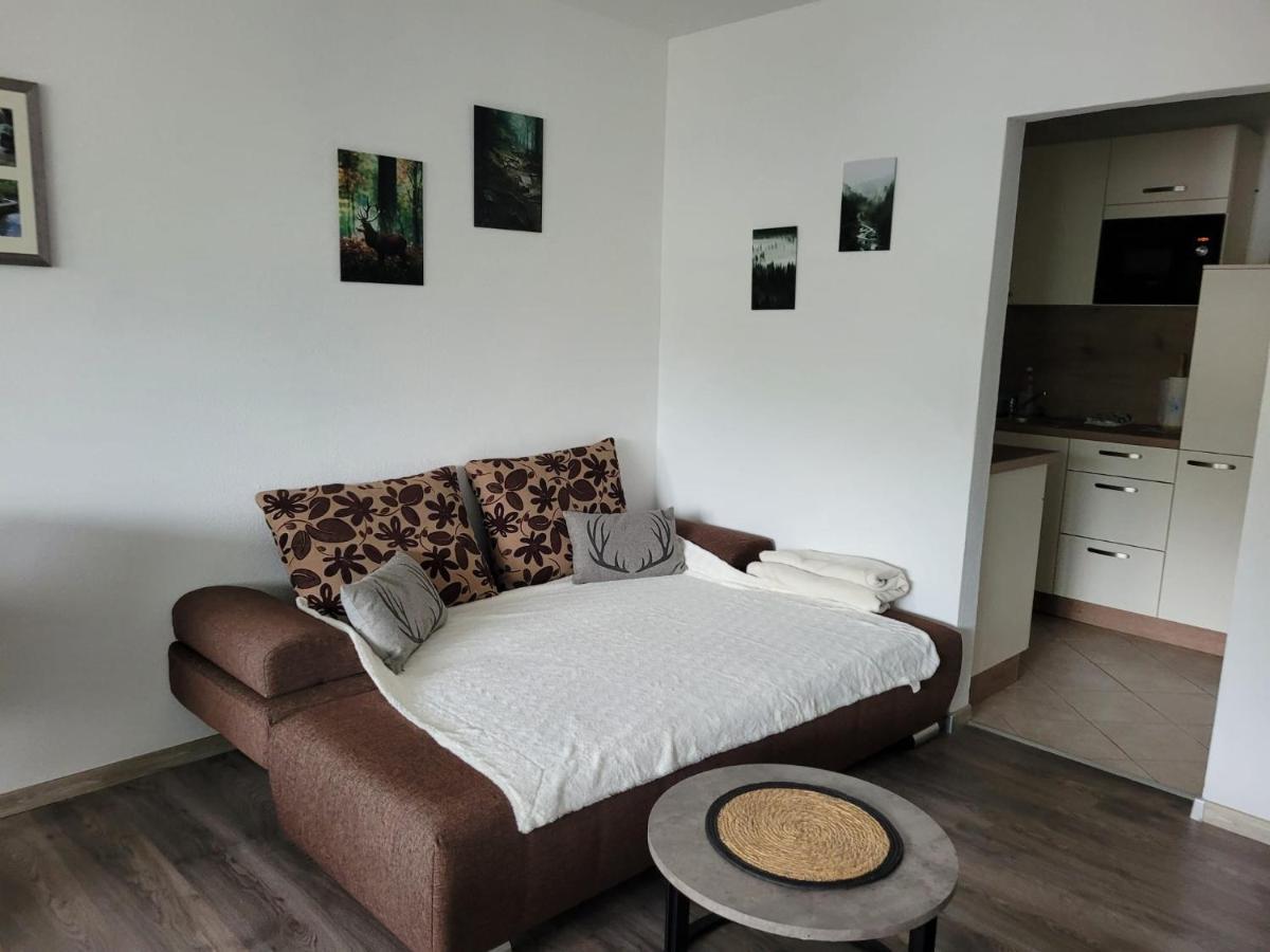 Ferienwohnung Hilde Bad Peterstal-Griesbach Esterno foto